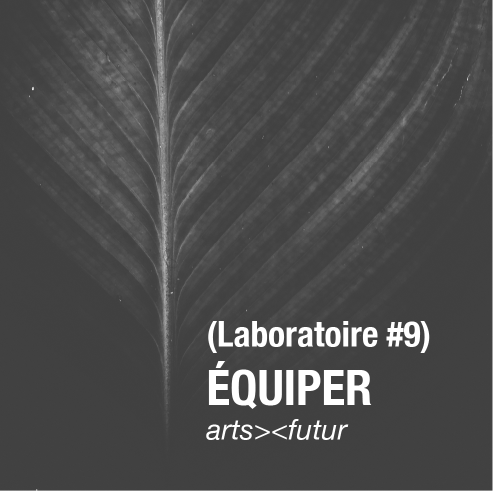 Faire équipe - Laboratoire permanent